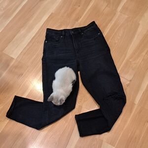 American Eagle Outfitters Black Straight Leg Jeans